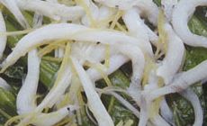 銀魚芥菜