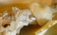 鲃肺湯