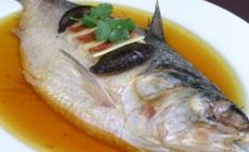 清蒸鰣魚