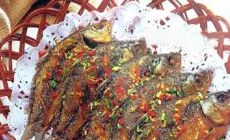 湘江鯽魚