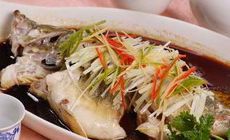 清蒸桂魚