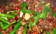 家常狗肉