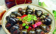 田螺釀肉燉土雞